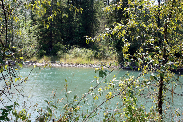 the Skagit River